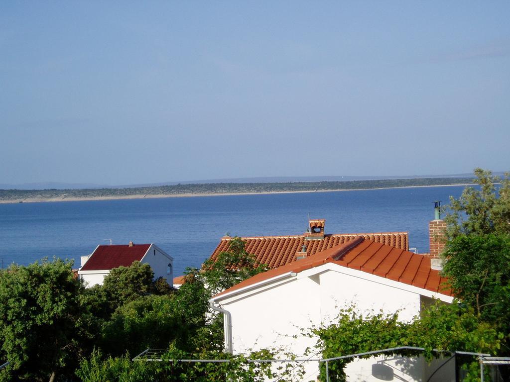 Apartment Dvorski Mandre